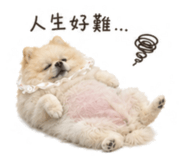 839769014
