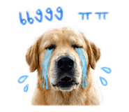 839769693