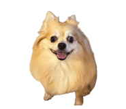 839769709