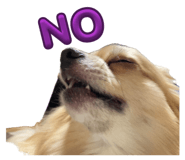 839769711