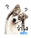 839769854