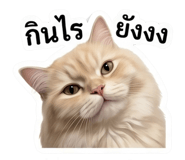 839770331