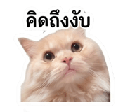 839770332