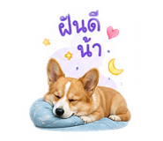 839770821