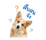 839770824