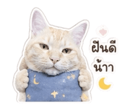 839770991