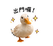 839771443