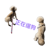 839771474