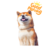 839772533