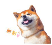 839772543