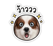 839773102