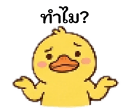 839773342