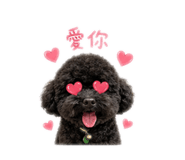 839775089