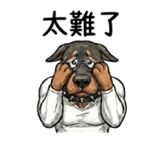 839775144