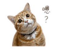 839775461