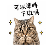 839775543