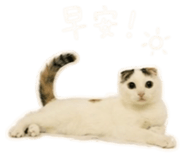 839775641
