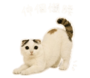 839775645