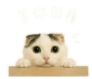 839775651
