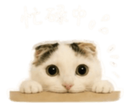 839775655