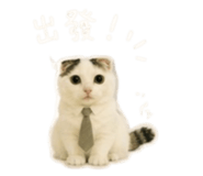 839775656