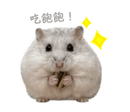 839775657