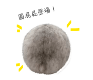 839775658