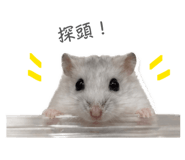 839775659