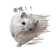 839775669