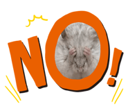 839775670