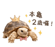 839776002