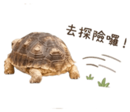 839776010