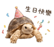 839776021