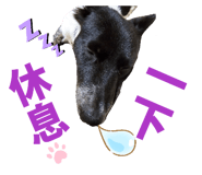 839776130