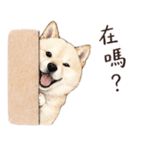 839776675