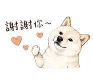 839776676