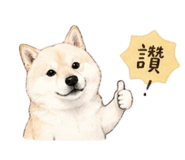 839776677