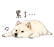 839776679