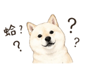 839776681
