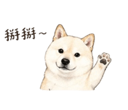 839776682