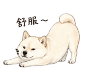 839776687