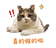 839777045