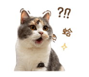 839777049