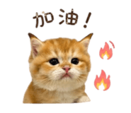 839777050