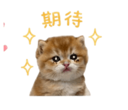 839777058