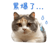 839777061