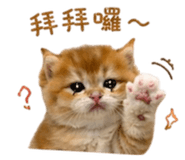 839777062