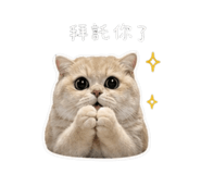 839777460