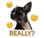 839777568