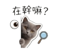 839777605